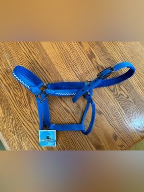 Mustang Royal Blue Nylon Average Horse Halter Fleece lined